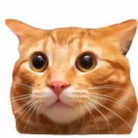 Irlcat