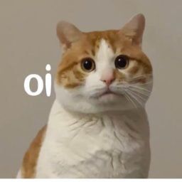 OI