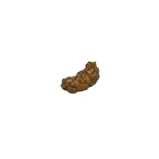 shit