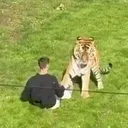 Man