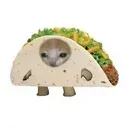 tacocat