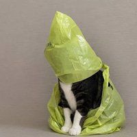 BAG