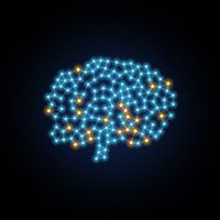 qBOT