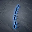 Waddle