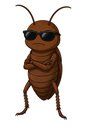 ROACH