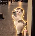 pussy