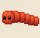 WORM
