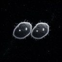 SPACEBALLS