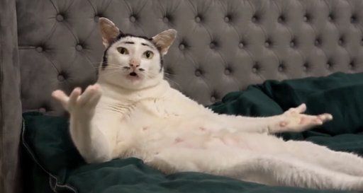 TOPCAT