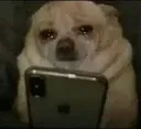 DIP