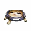 Launchcat