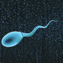 Quantcum