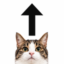 ↑