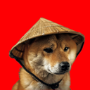 DOGGA