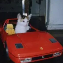 Rari
