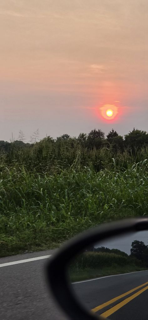 suns