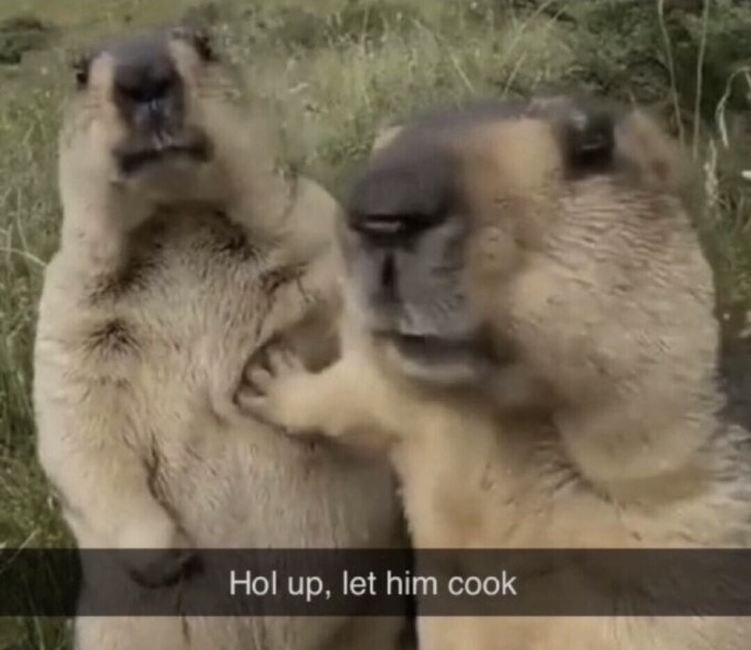 COOK