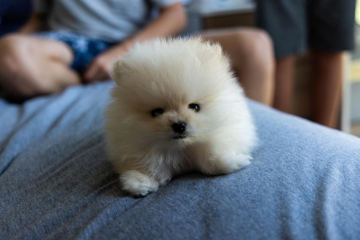 TILLY