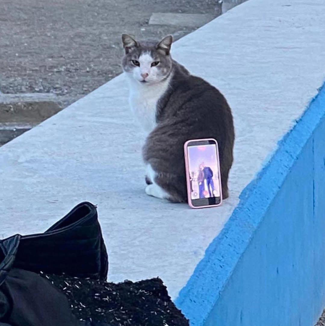 Tcat