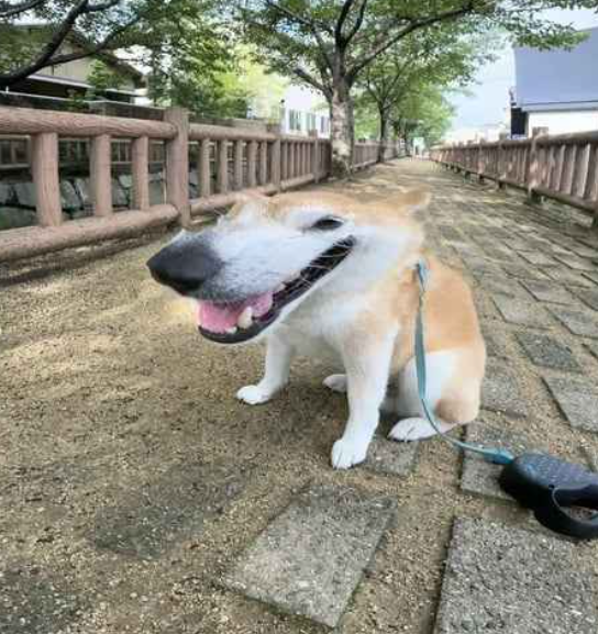 derg