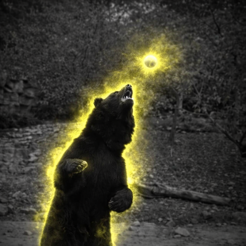 BEAR