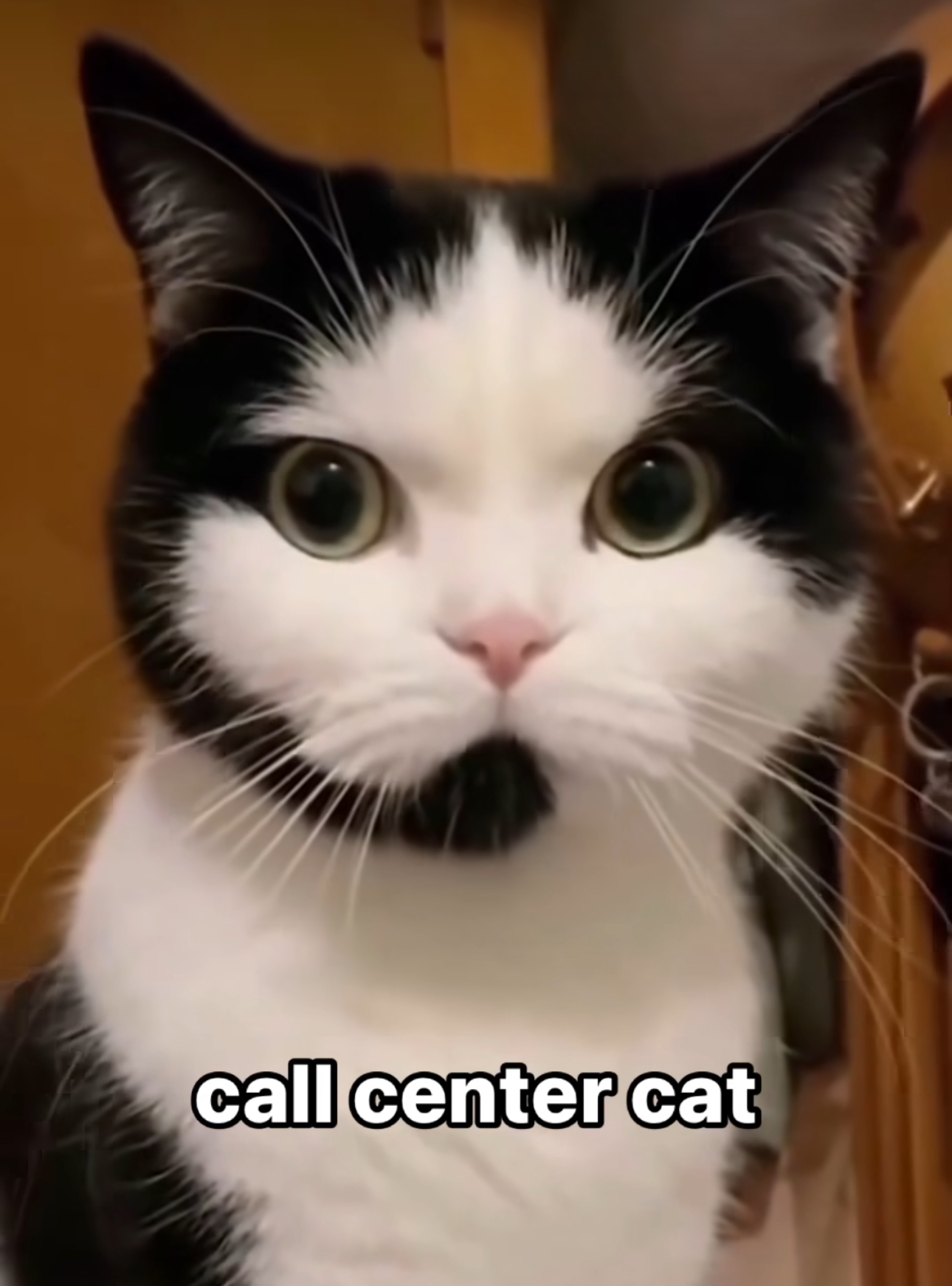 CCC