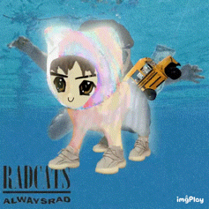 RADCAT