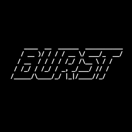 Burstcoin