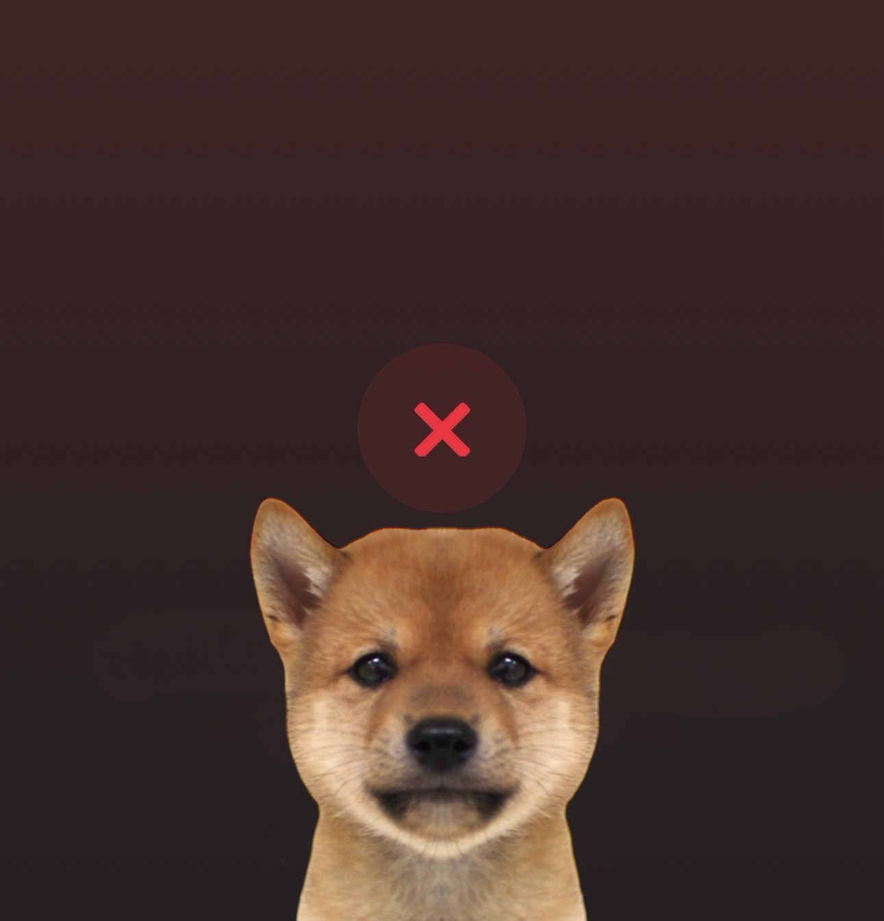 cDOG