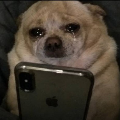 CryDog