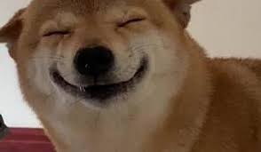 SHIBZ