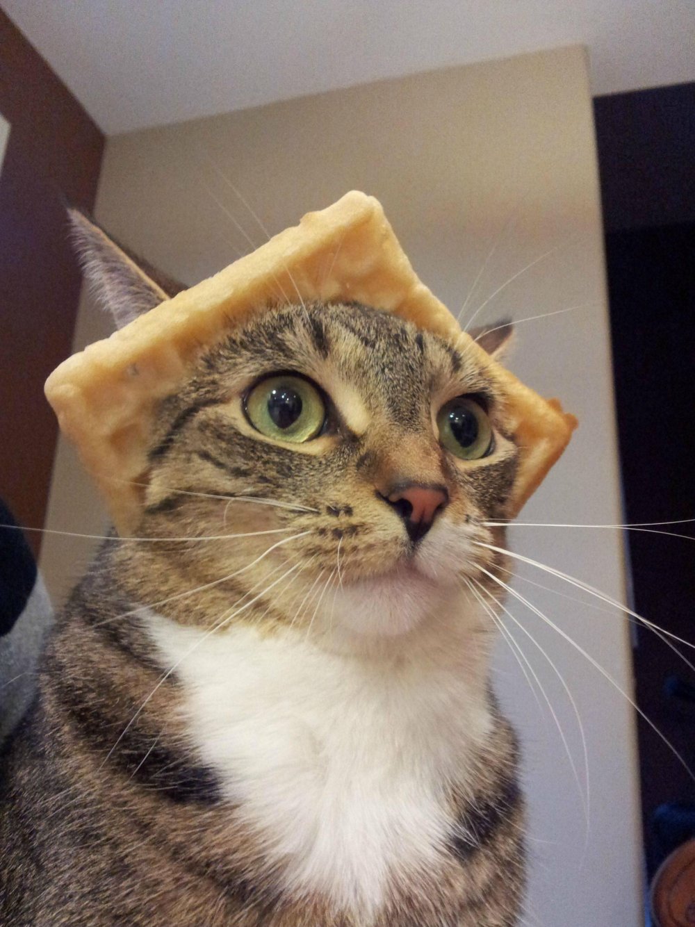WAF