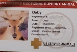 BABY'S ID