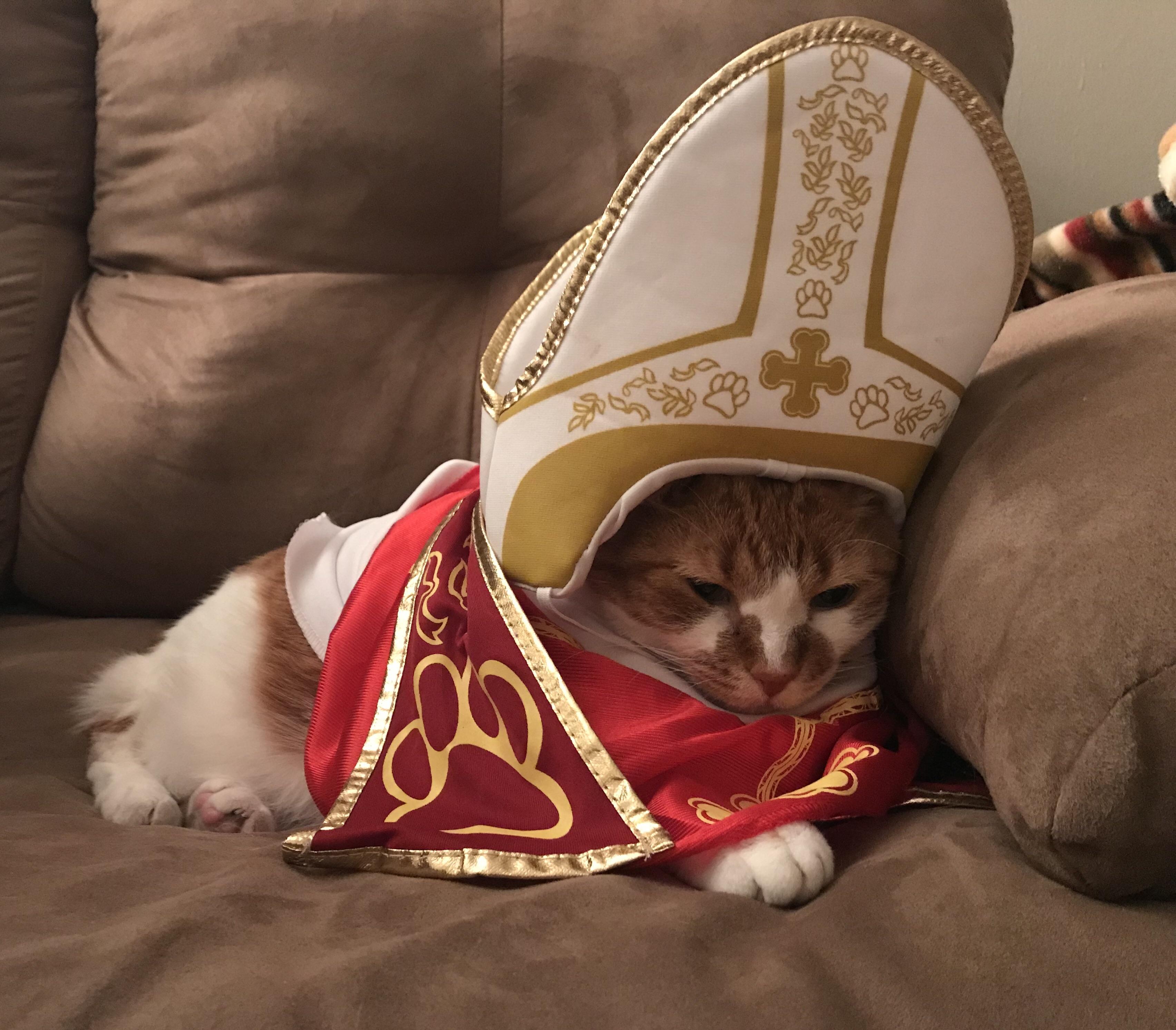 POPCAT
