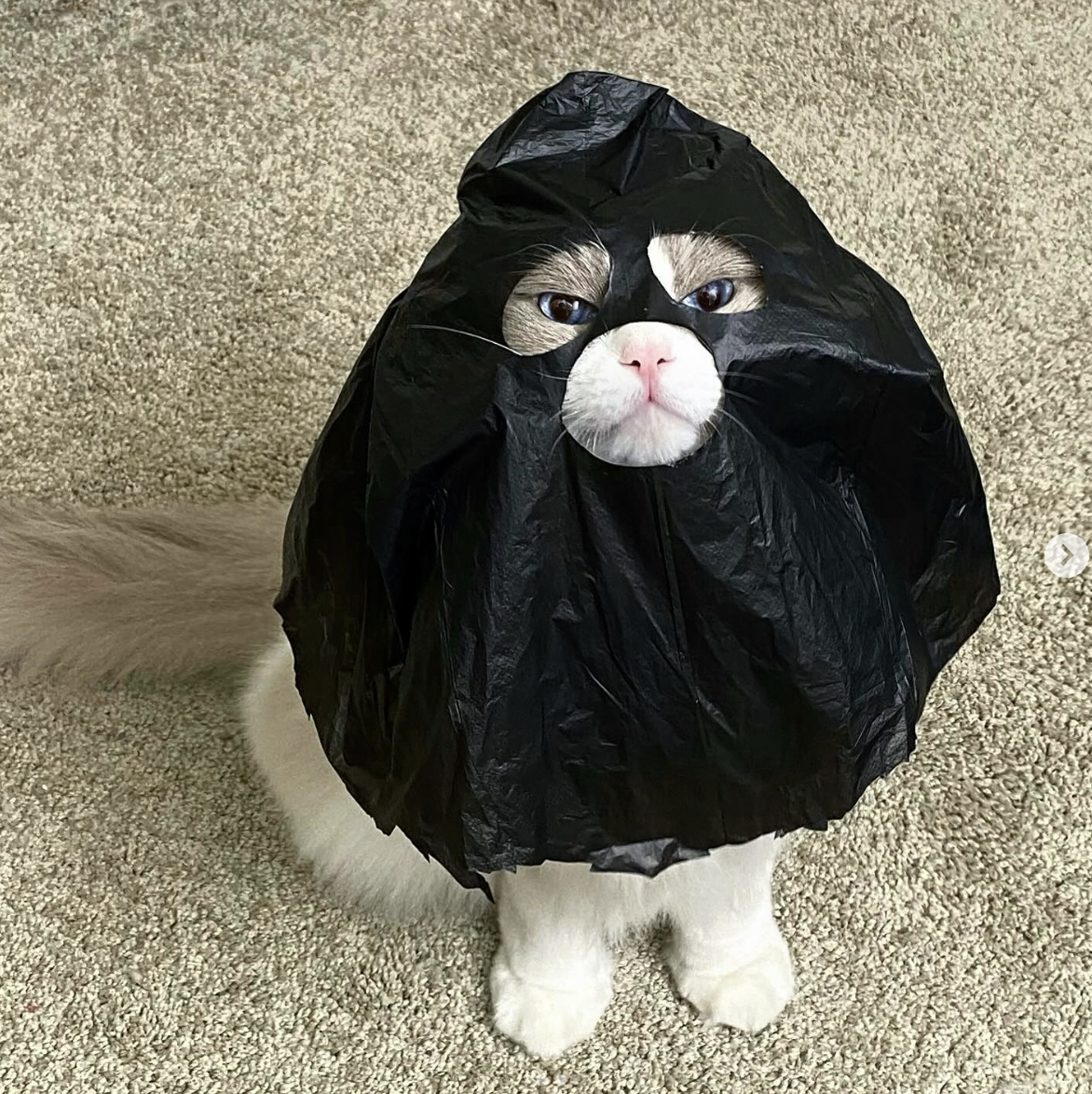 BAG