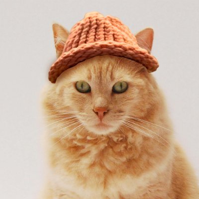 CATEWIF