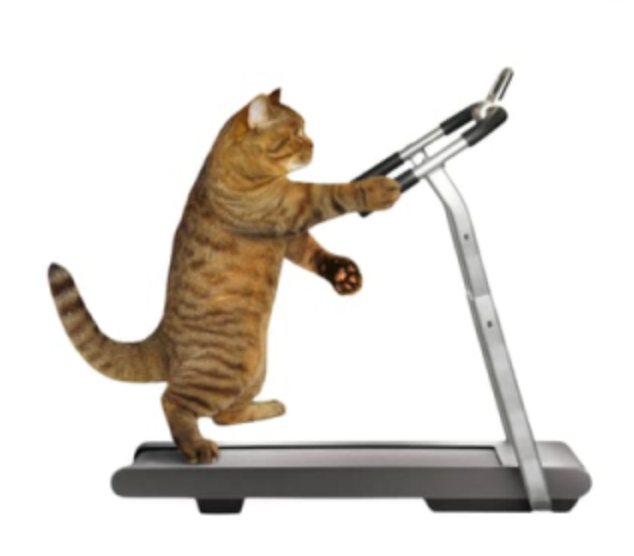 TCAT