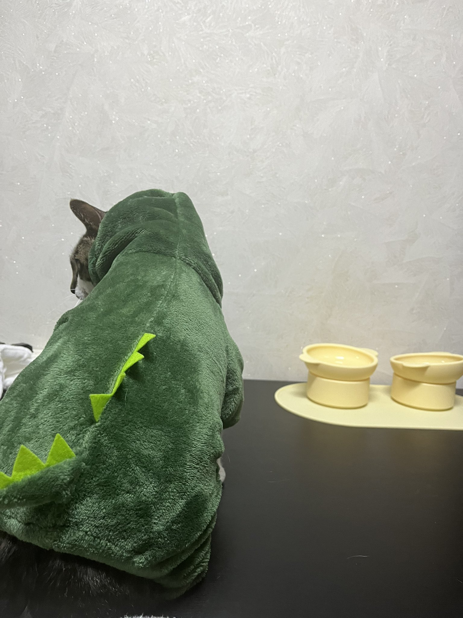 dinochu