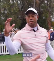 BIGDOG