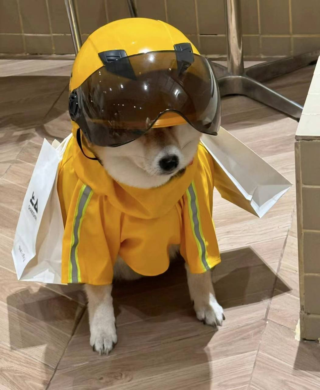 DDOG