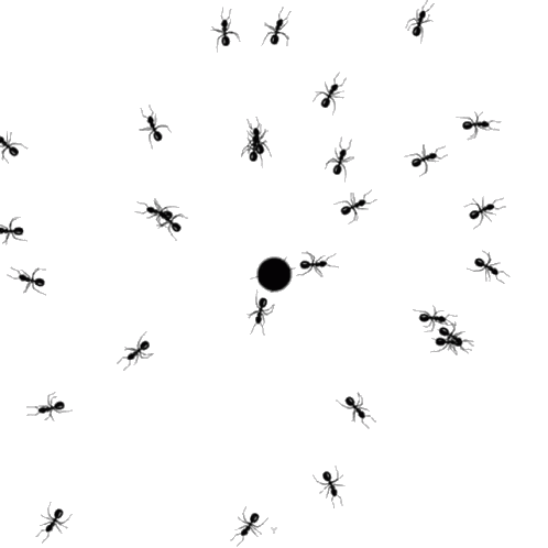 Meth Mites
