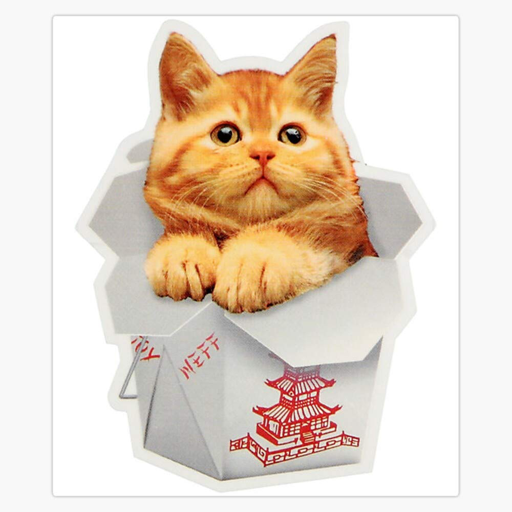 CATS
