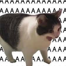AAAA