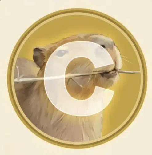 CAPY