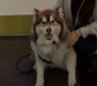 SOLANA