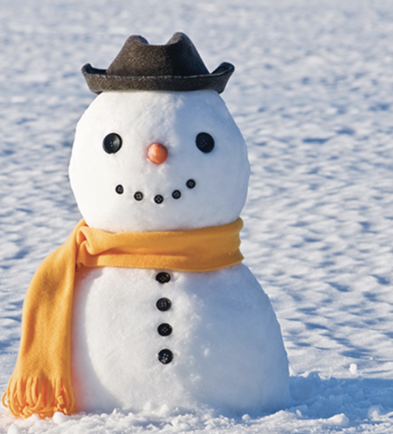 Snowman