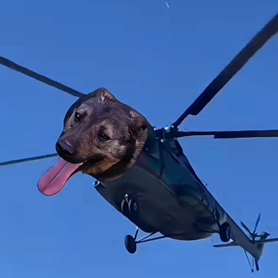 helidog