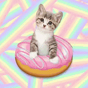 catdonut