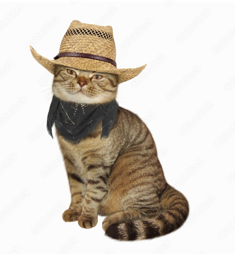 DEEPCAT