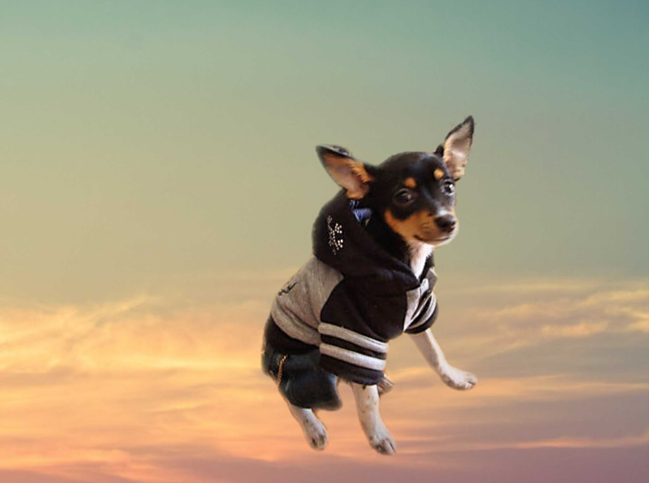 $FENDI